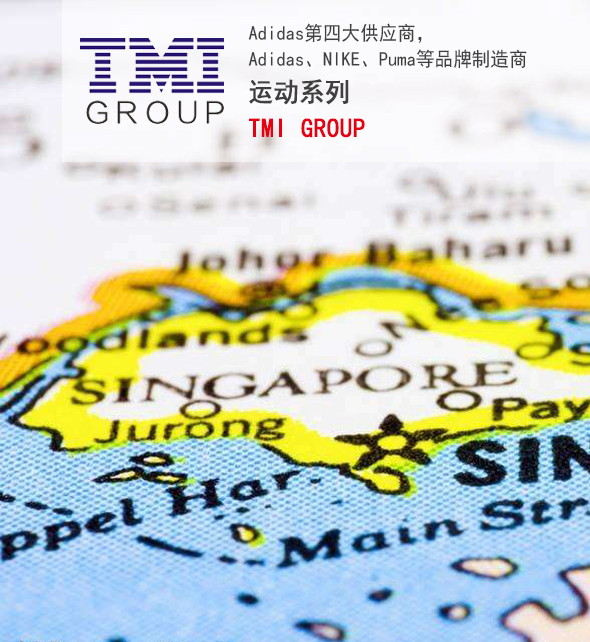 TMI-新加坡