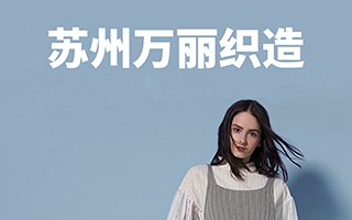 万丽集团APS启动会